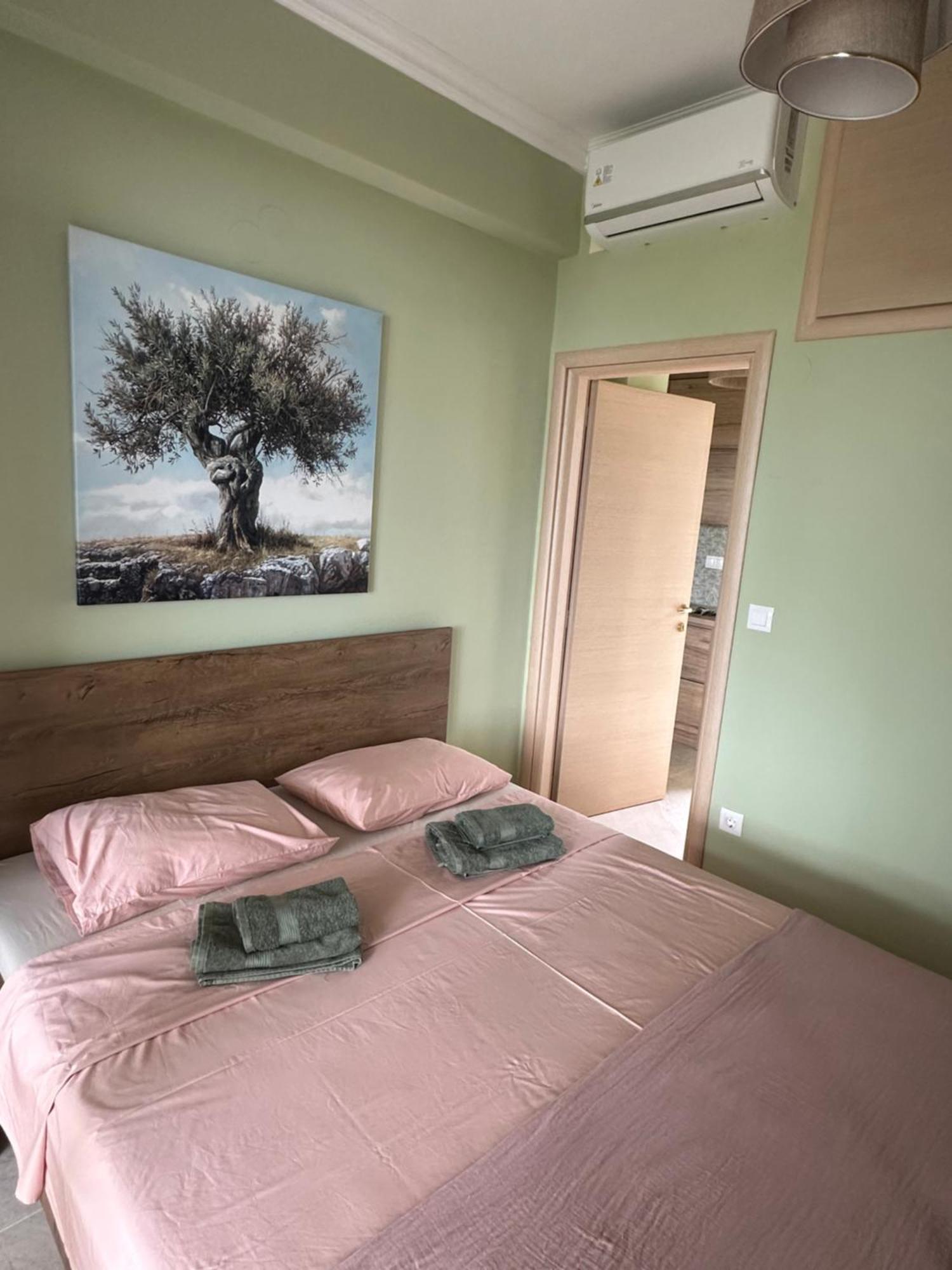 Apartmán Olivia -Ελιά PalaiónTsiflíkion Exteriér fotografie